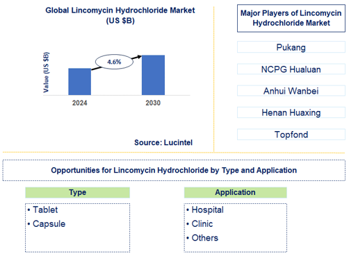 Lincomycin Hydrochloride Trends and Forecast