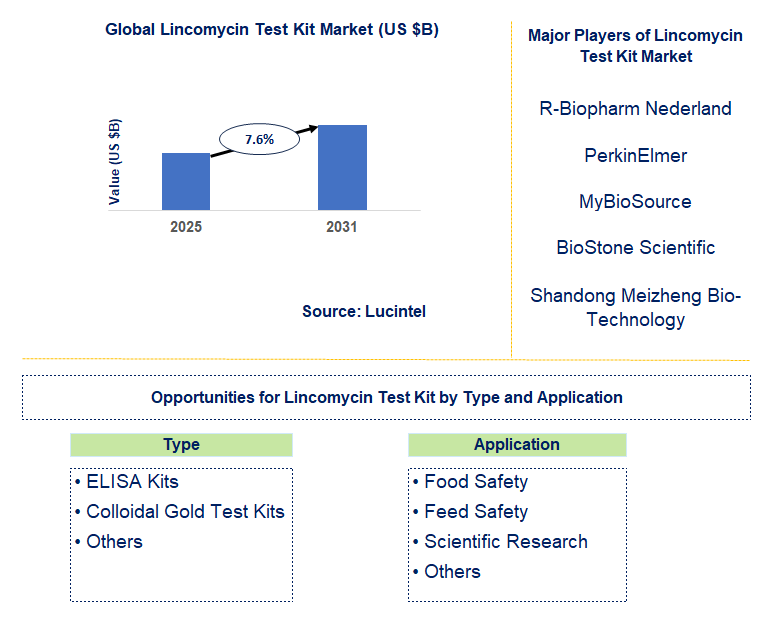Lincomycin Test Kit Market Trends and Forecast