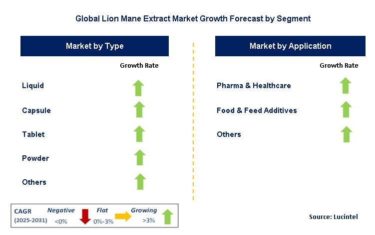 Lion Mane Extract Market by Segment