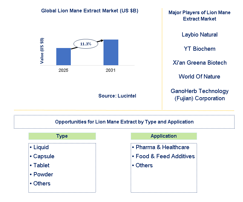 Lion Mane Extract Market Trends and Forecast