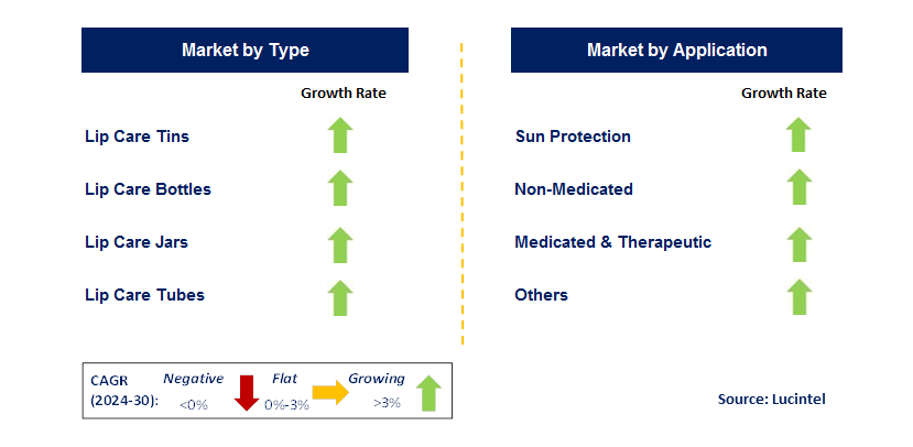 Lip Care Packaging by Segment