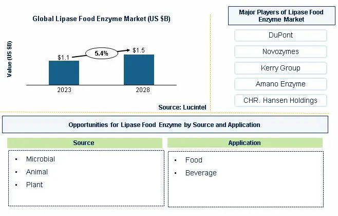 Lipase Food Enzyme Market by Source, and Application