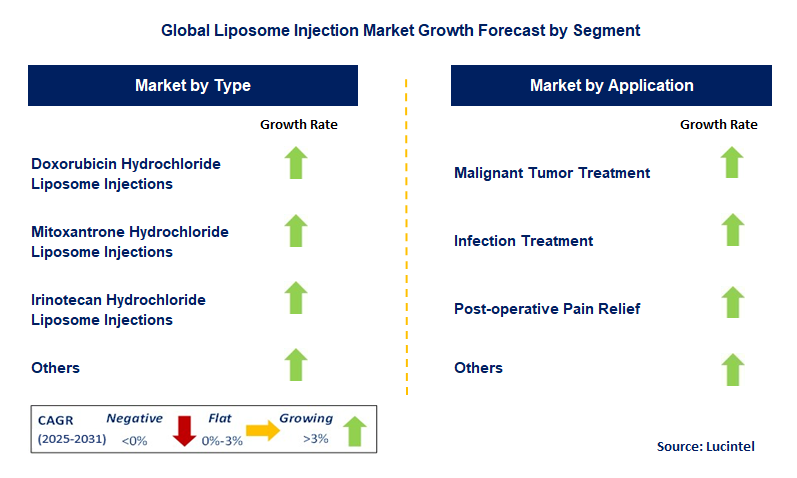 Liposome Injection Market by Segment