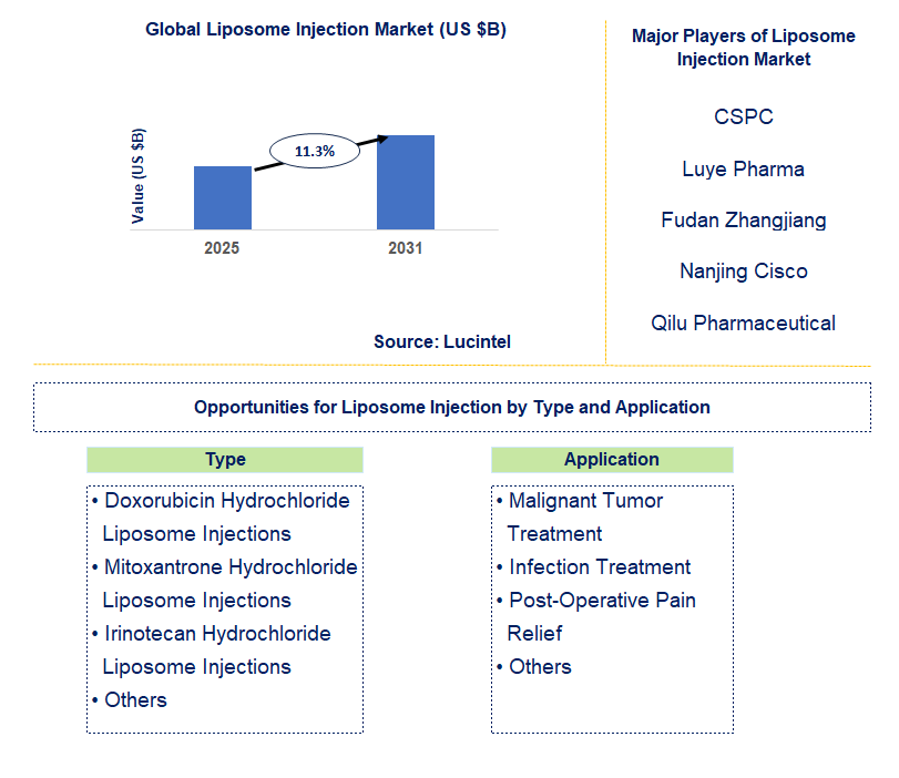 Liposome Injection Market Trends and Forecast