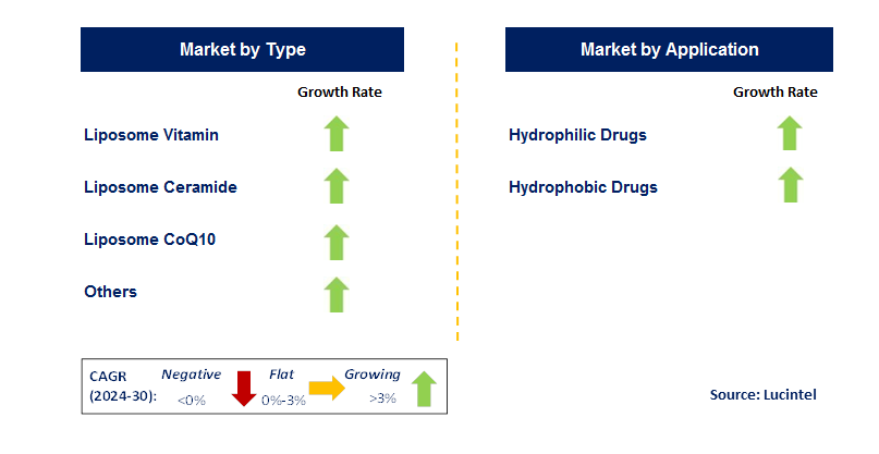 Liposomes For Drug Delivery by Segment
