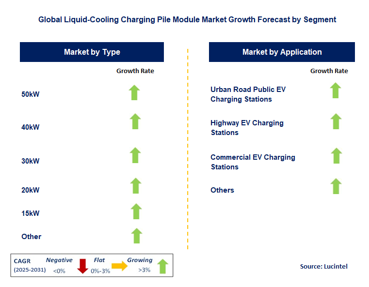 Liquid-Cooling Charging Pile Module Market by Segment