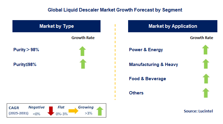 Liquid Descaler Market by Segment