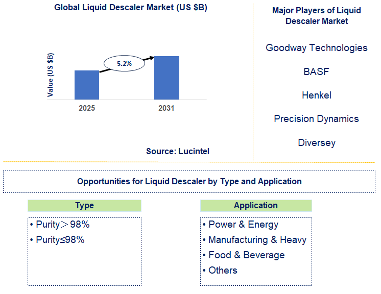 Liquid Descaler Market Trends and Forecast