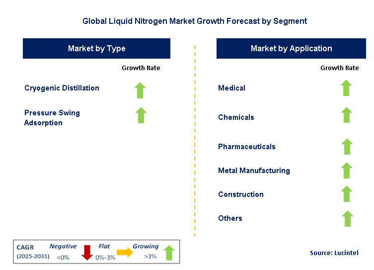 Liquid Nitrogen Market by Segment