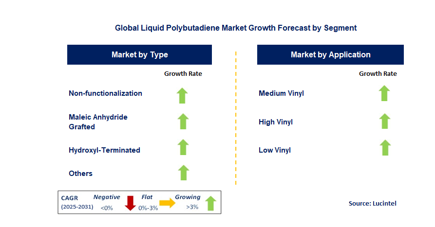 Liquid Polybutadiene Market by Segment