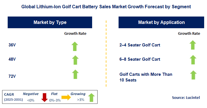 Lithium-Ion Golf Cart Battery Sales Market by Segment