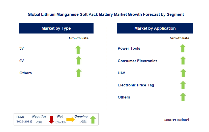 Lithium Manganese Soft Pack Battery Market by Segment