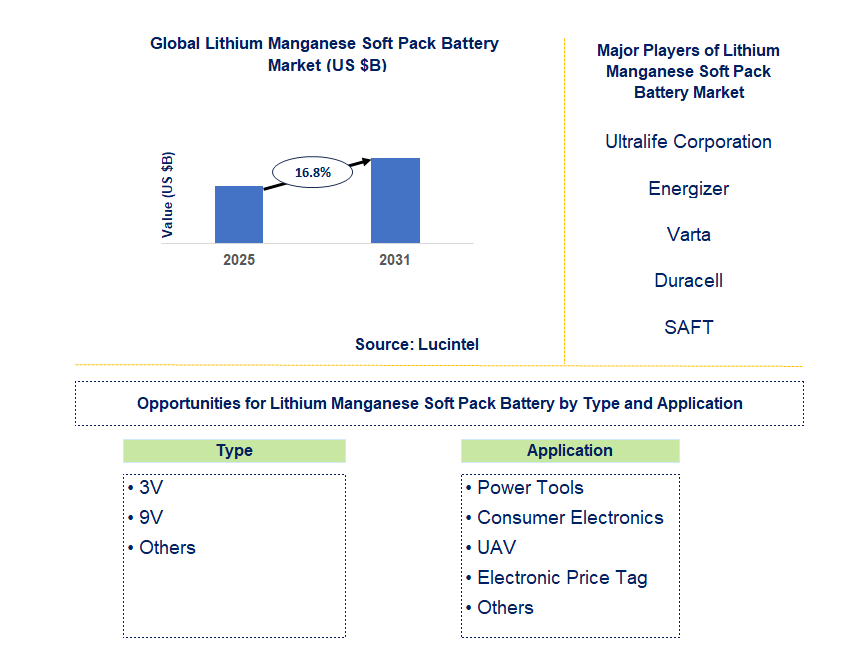 Lithium Manganese Soft Pack Battery Market Trends and Forecast