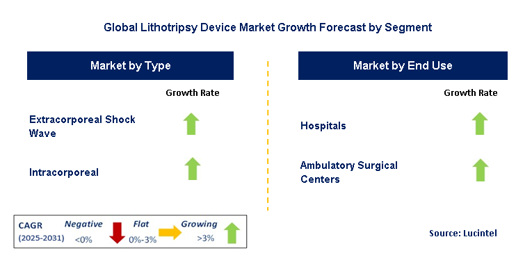 Lithotripsy Device Market by Segment