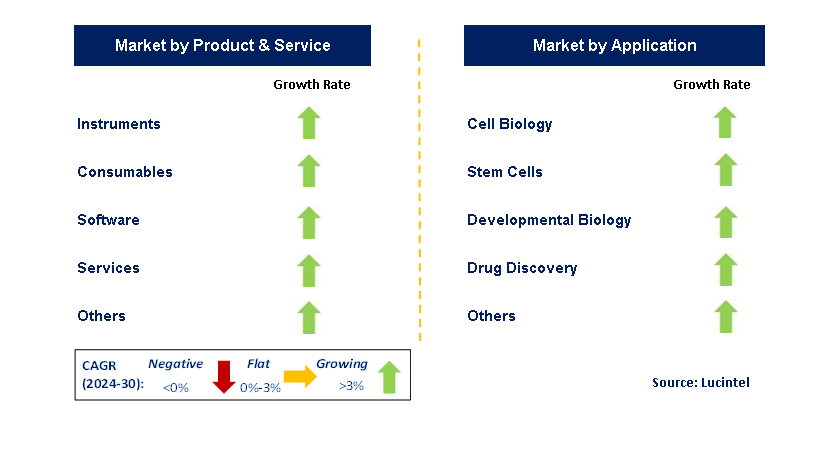 Live Cell Imaging by Segment