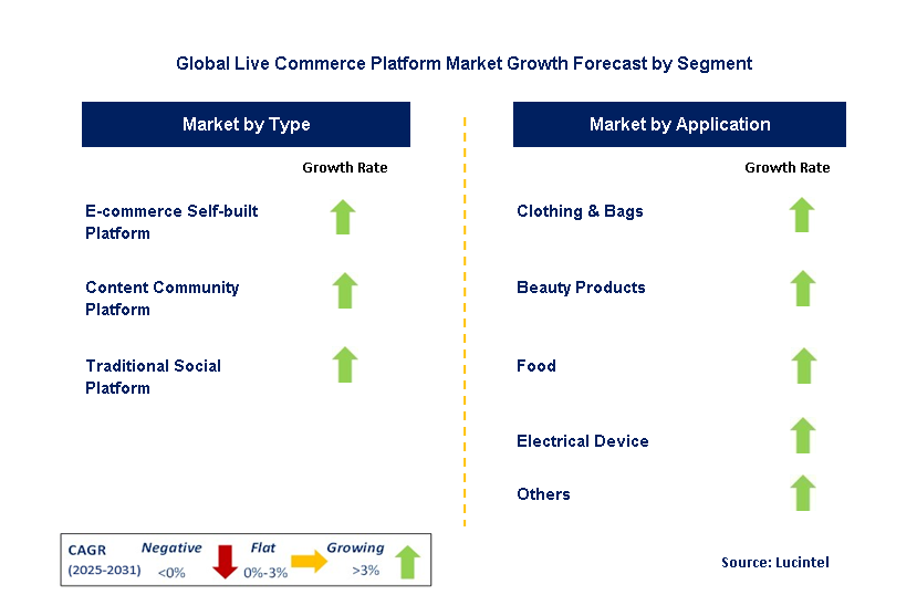 Live Commerce Platform Market by Segment