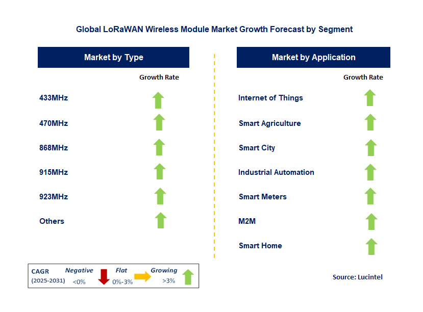 LoRaWAN Wireless Module Market by Segment