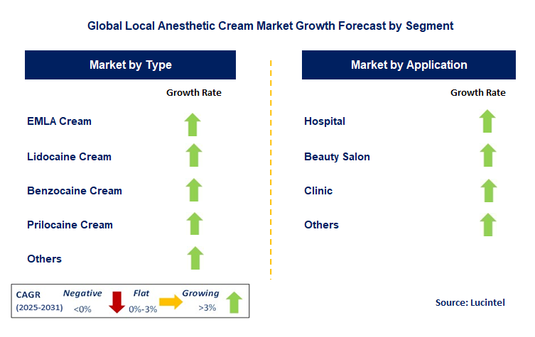 Local Anesthetic Cream Market by Segment