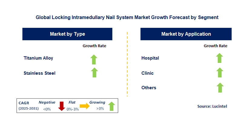 Locking Intramedullary Nail System Market by Segment