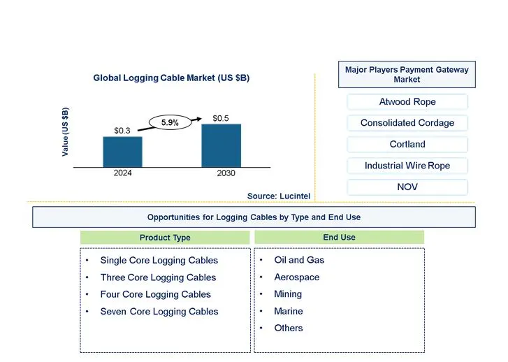 Logging Cable Market Size, Share & Analysis to 2030