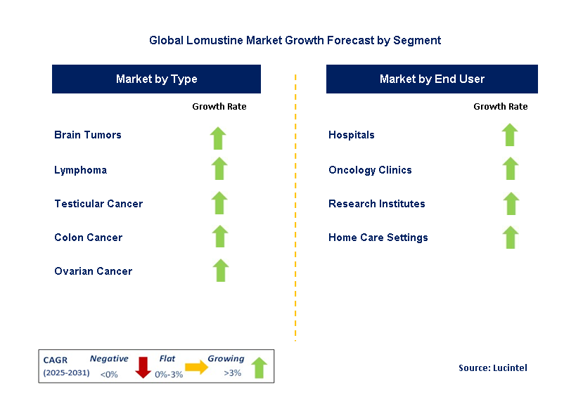 Lomustine Market by Segment