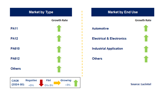 Long-Chain Polyamide Market by Segment