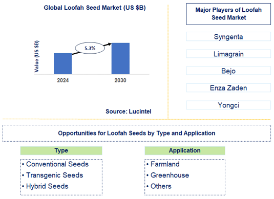 Loofah Seed Trends and Forecast