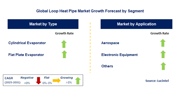 Loop Heat Pipe Market by Segment