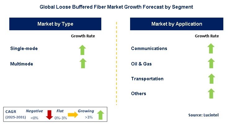 Loose Buffered Fiber Market by Segment