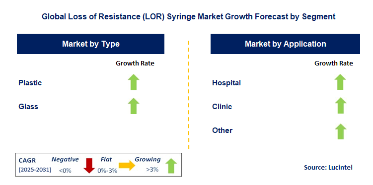 Loss of Resistance (LOR) Syringe Market by Segment