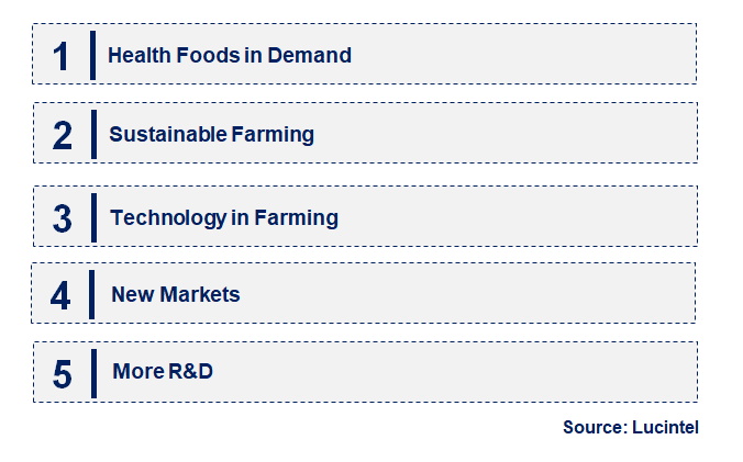 Emerging Trends in the Lotus Root Seeds Market