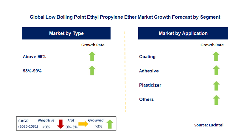Low Boiling Point Ethyl Propylene Ether Market by Segment