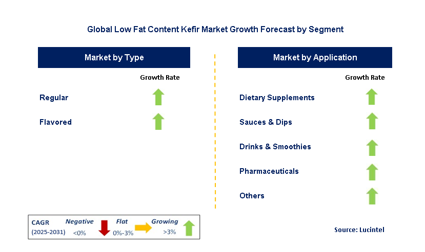 Low Fat Content Kefir Market by Segment