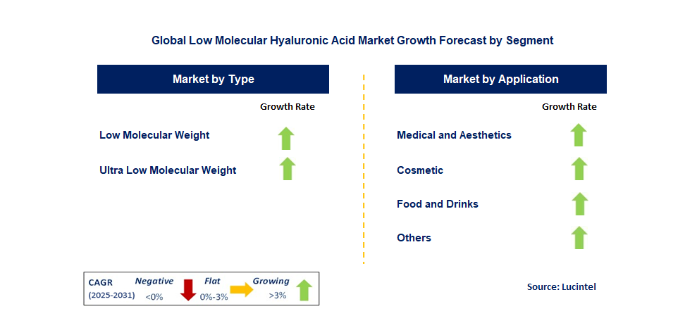 Low Molecular Hyaluronic Acid Market by Segment