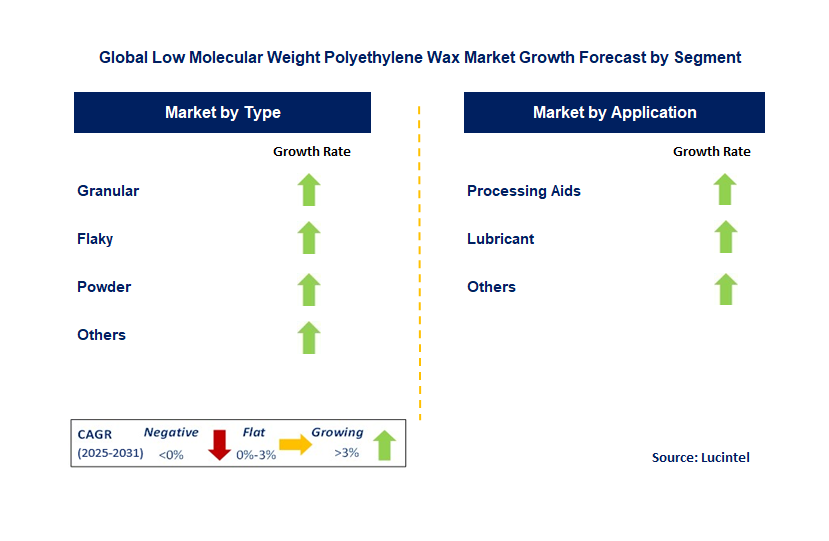 Low Molecular Weight Polyethylene Wax Market by Segment