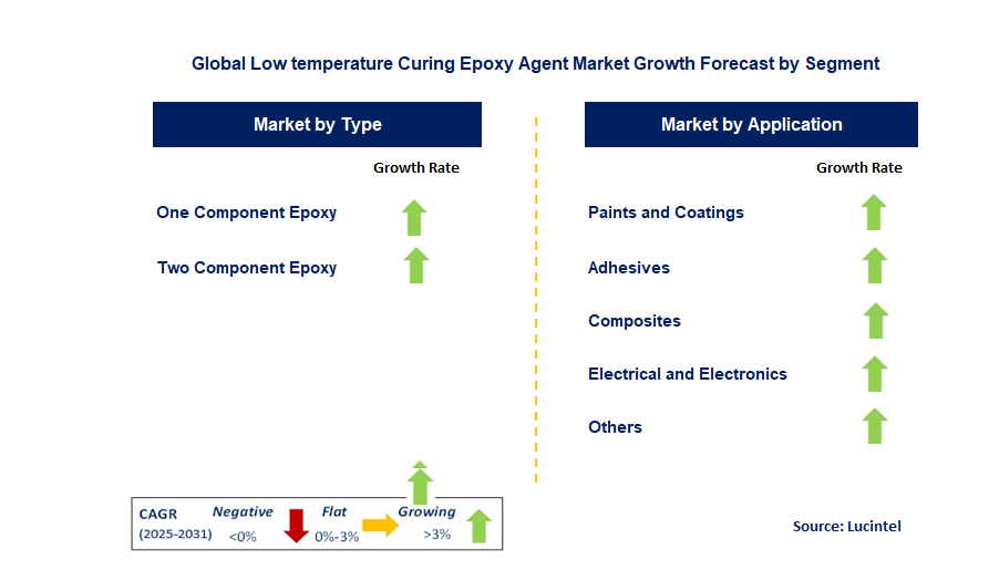 Low Temperature Curing Epoxy Agent Market by Segment