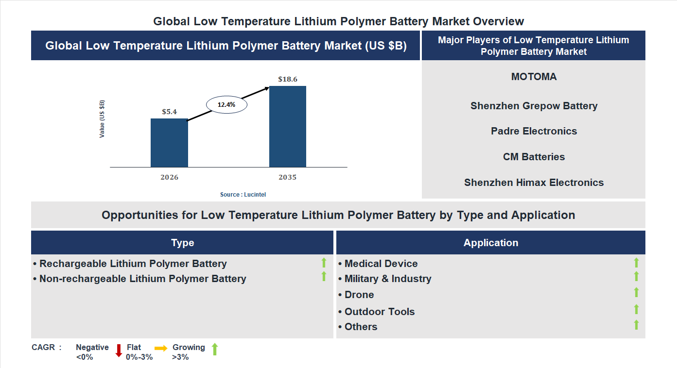 Low Temperature Lithium Polymer Battery Market Trends and Forecast