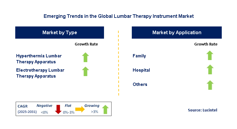 Lumbar Therapy Instrument Market by Segment