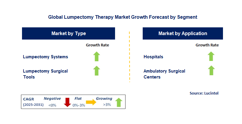 Lumpectomy Therapy Market by Segment