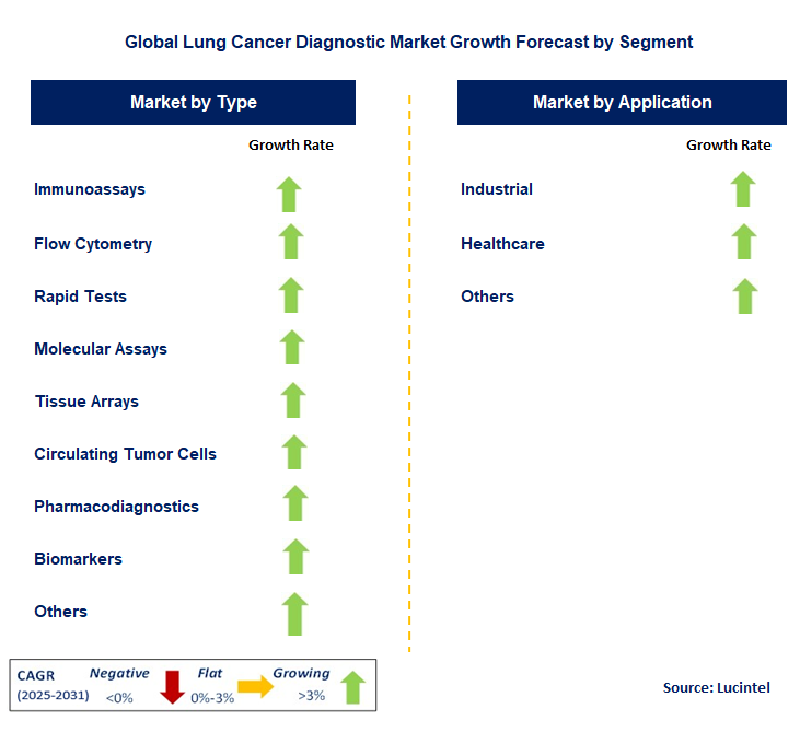 Lung Cancer Diagnostic Market by Segment