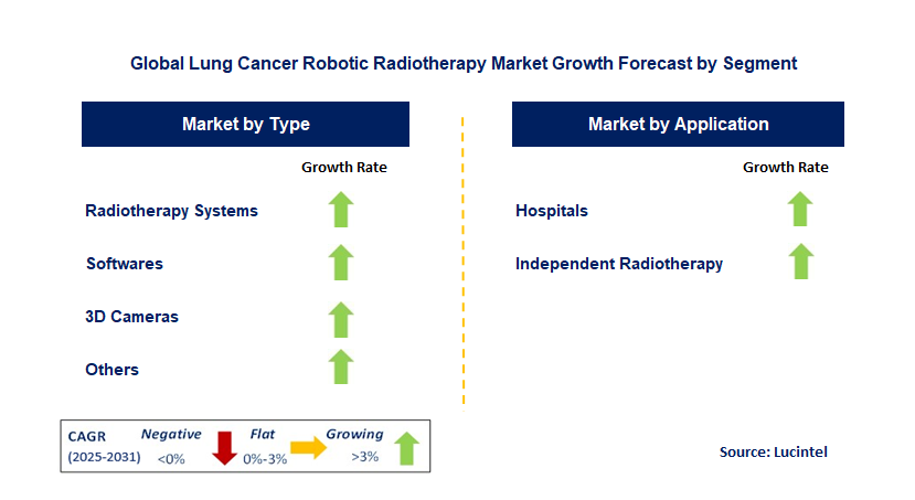 Lung Cancer Robotic Radiotherapy Market by Segment