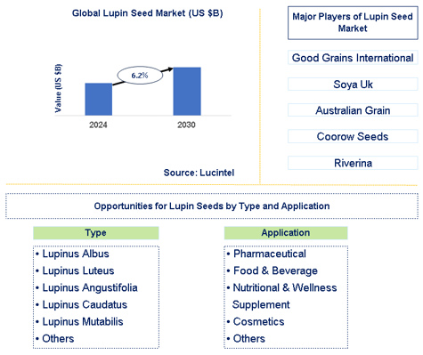 Lupin Seed Market Trends and Forecast