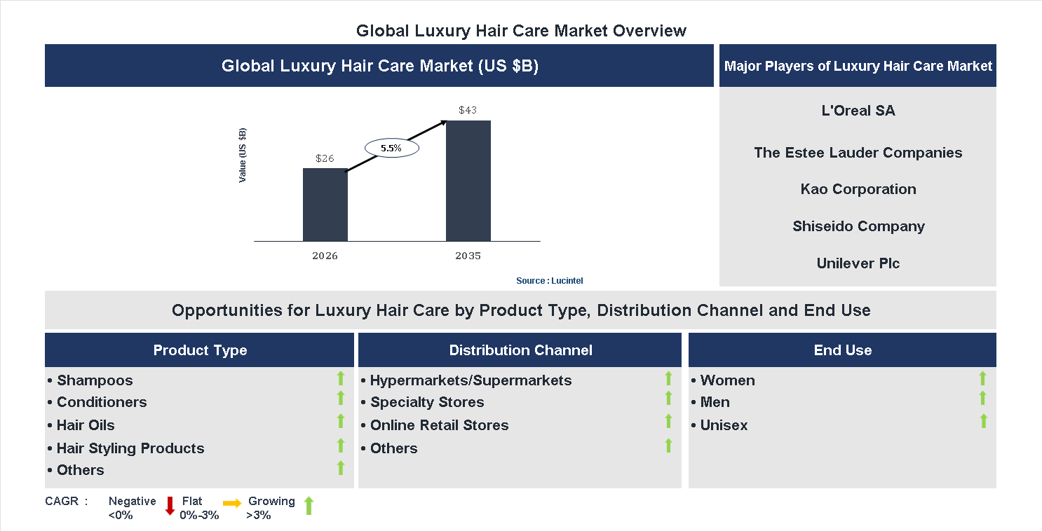 Luxury Hair Care Market Trends and Forecast