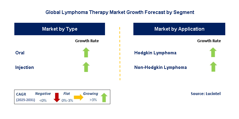 Lymphoma Therapy Market by Segment