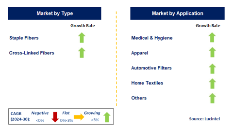 Lyocell Fiber Market by Segment