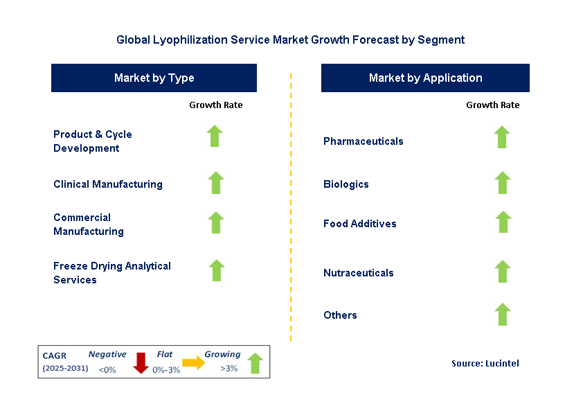 Lyophilization Service Market by Segment