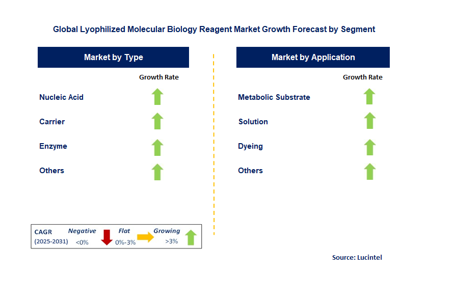 Lyophilized Molecular Biology Reagent Market by Segment
