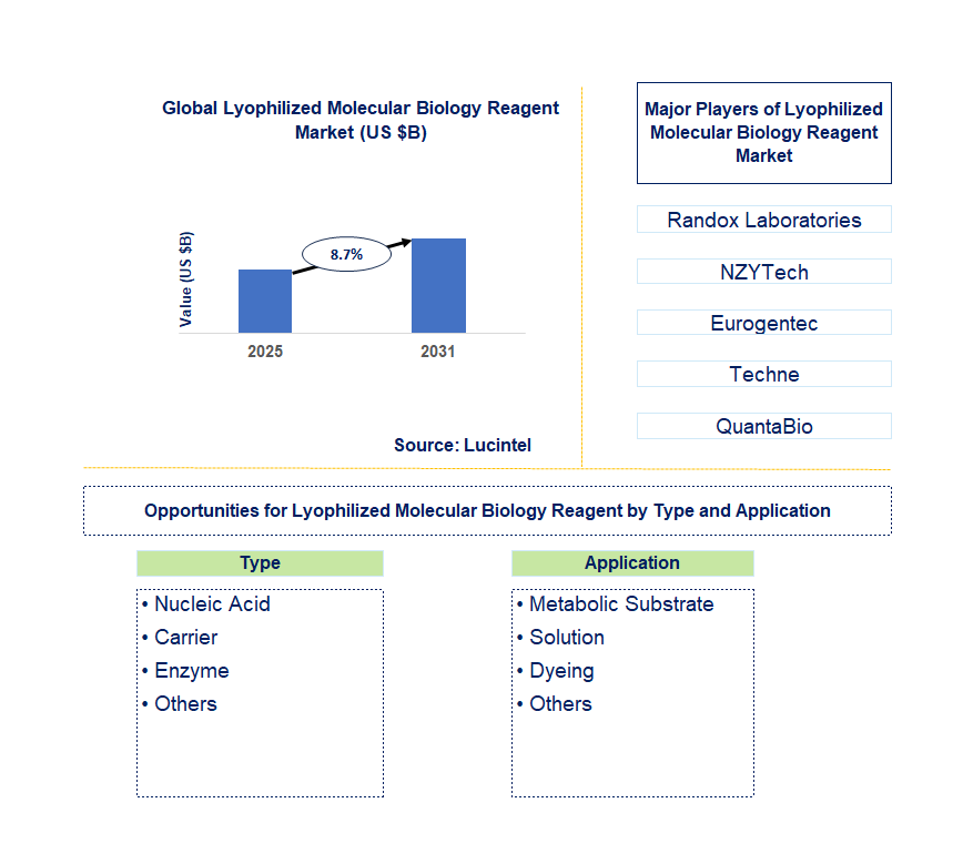 Lyophilized Molecular Biology Reagent Market Trends and Forecast