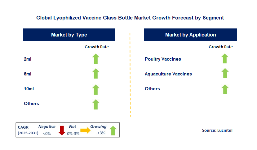 Lyophilized Vaccine Glass Bottle Market by Segment