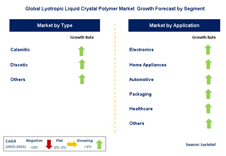 Lyotropic Liquid Crystal Polymer Market by Segment